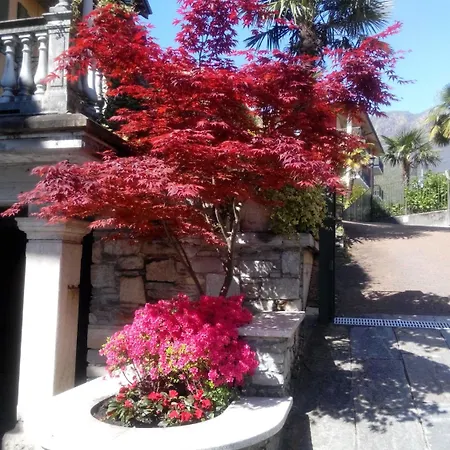 Отель Azalea Бавено