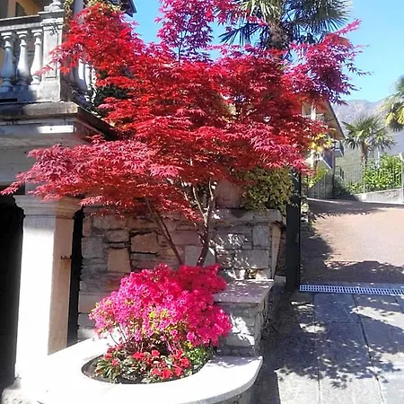 Azalea 3* Бавено